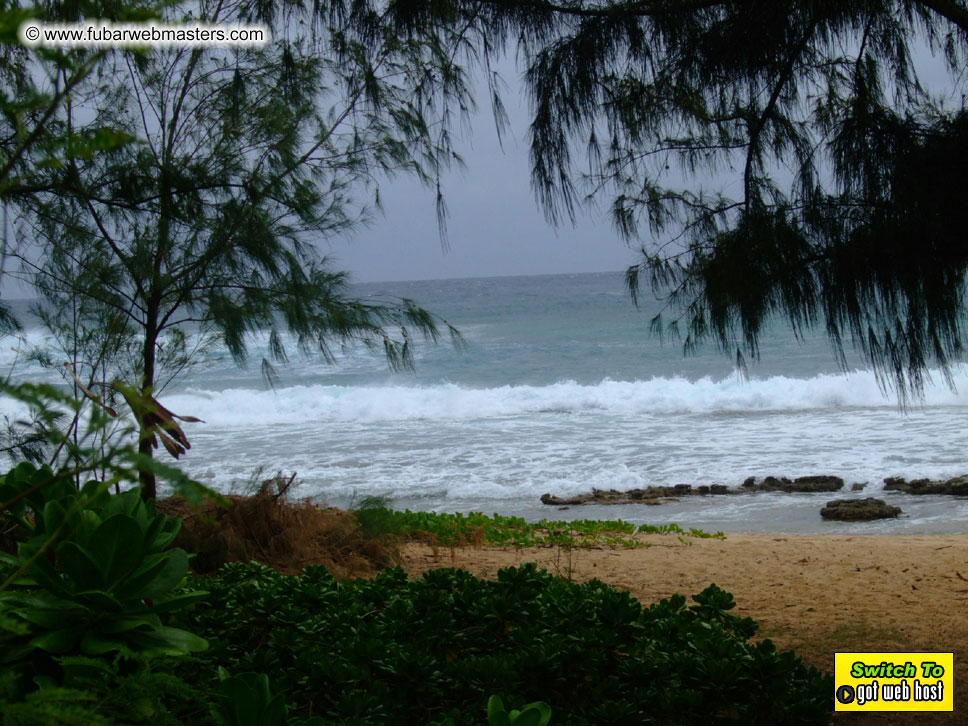 GoodGirl & Baddog's Hawaii Photos