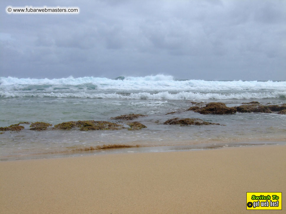 GoodGirl & Baddog's Hawaii Photos