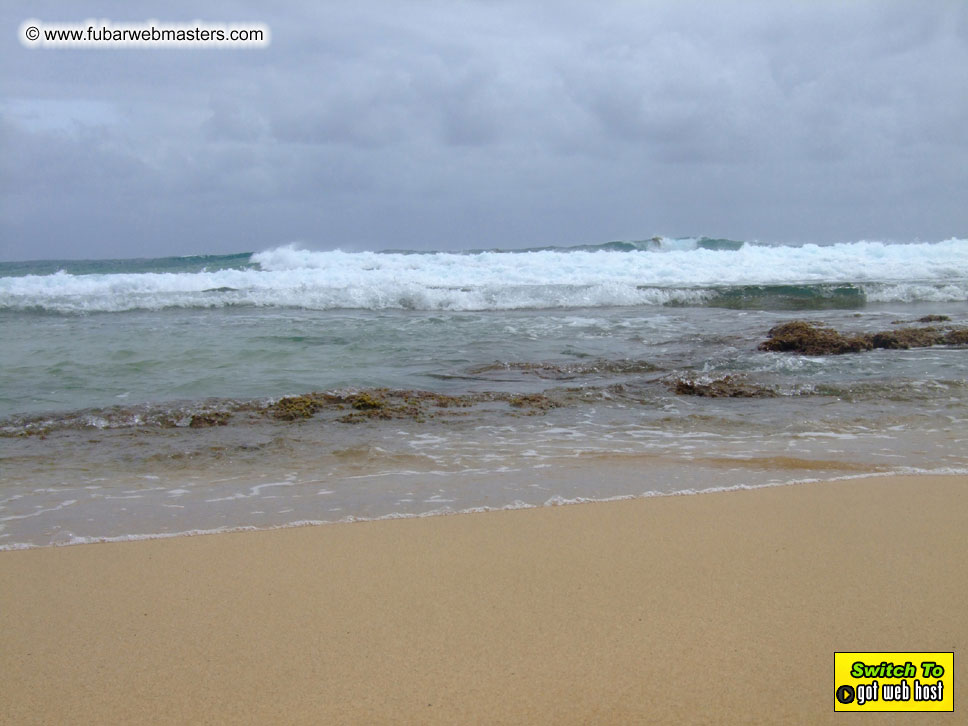 GoodGirl & Baddog's Hawaii Photos