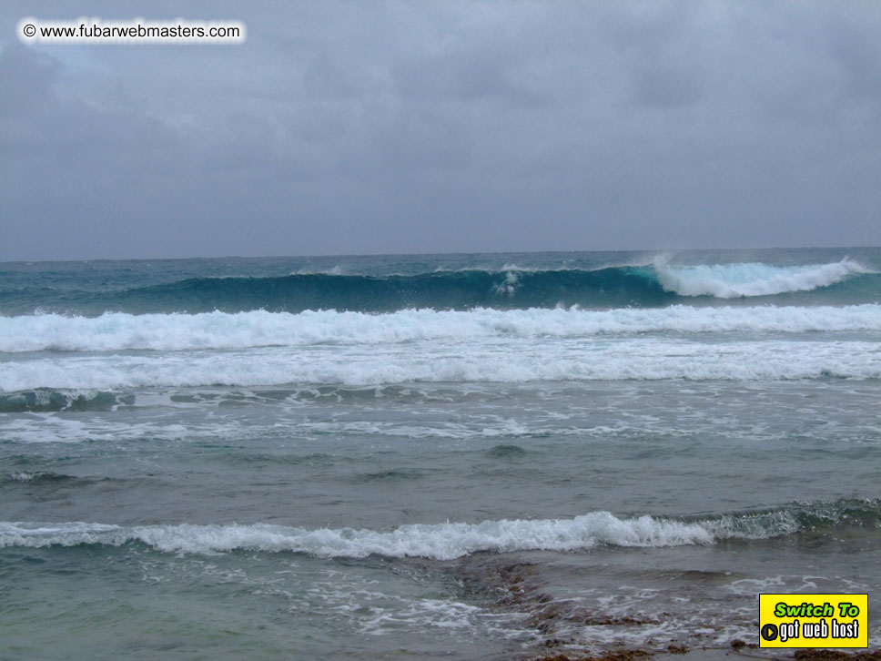 GoodGirl & Baddog's Hawaii Photos