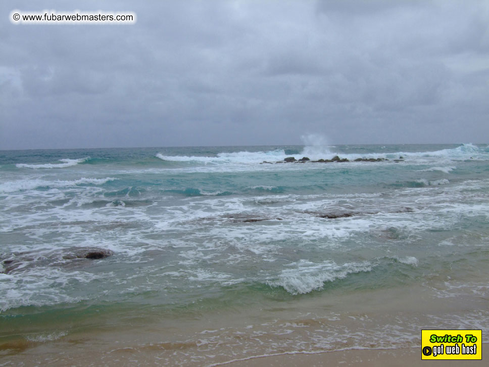 GoodGirl & Baddog's Hawaii Photos