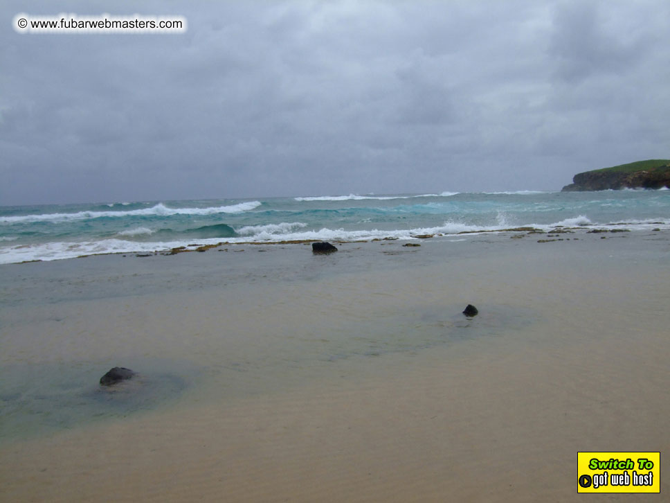 GoodGirl & Baddog's Hawaii Photos