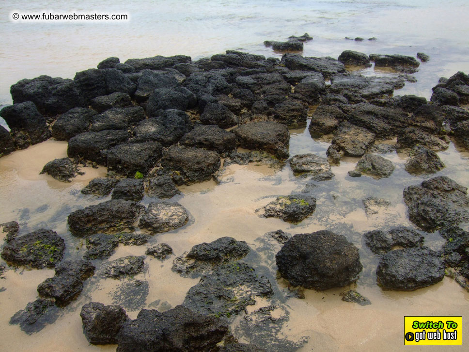 GoodGirl & Baddog's Hawaii Photos