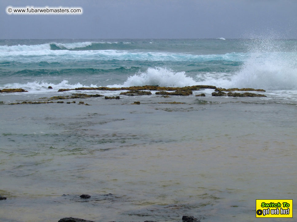 GoodGirl & Baddog's Hawaii Photos