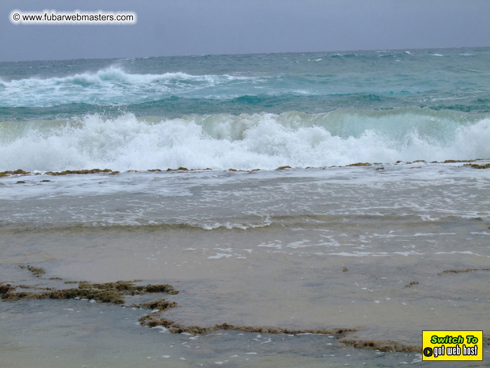 GoodGirl & Baddog's Hawaii Photos