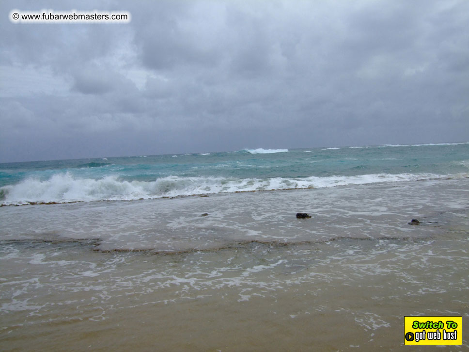 GoodGirl & Baddog's Hawaii Photos