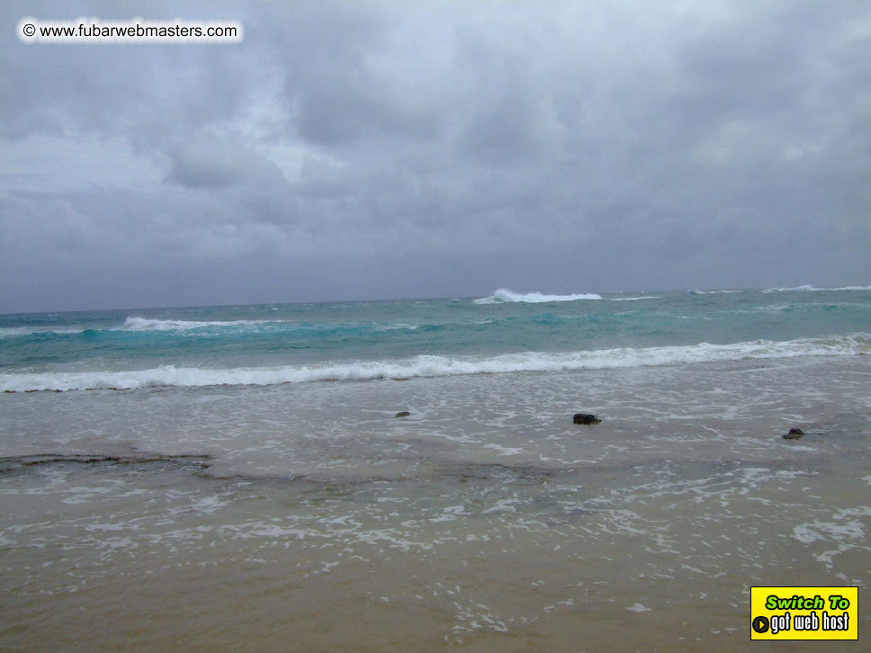 GoodGirl & Baddog's Hawaii Photos