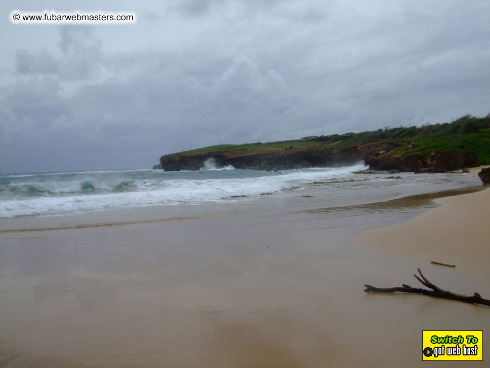 GoodGirl & Baddog's Hawaii Photos