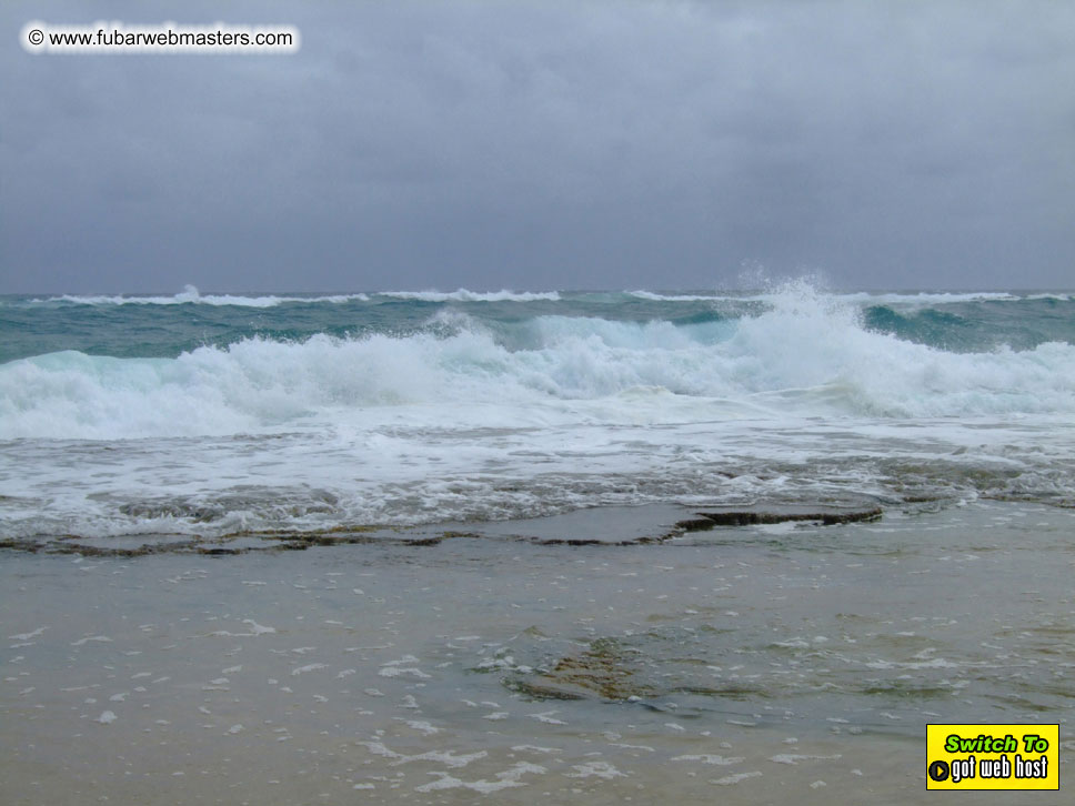 GoodGirl & Baddog's Hawaii Photos