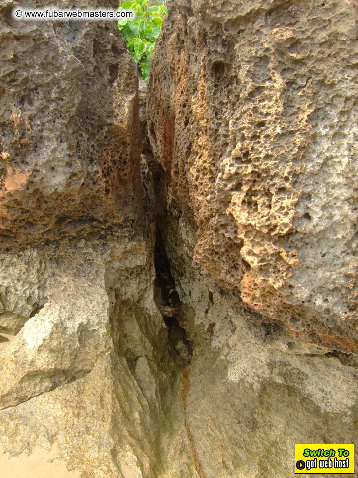 GoodGirl & Baddog's Hawaii Photos