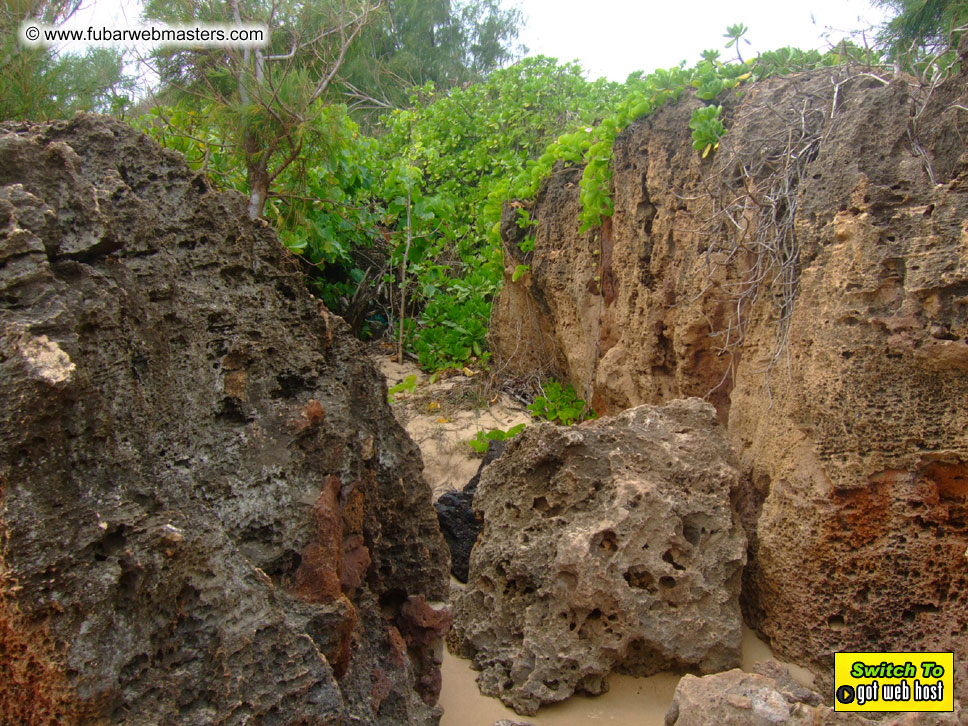 GoodGirl & Baddog's Hawaii Photos