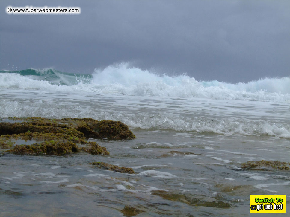 GoodGirl & Baddog's Hawaii Photos