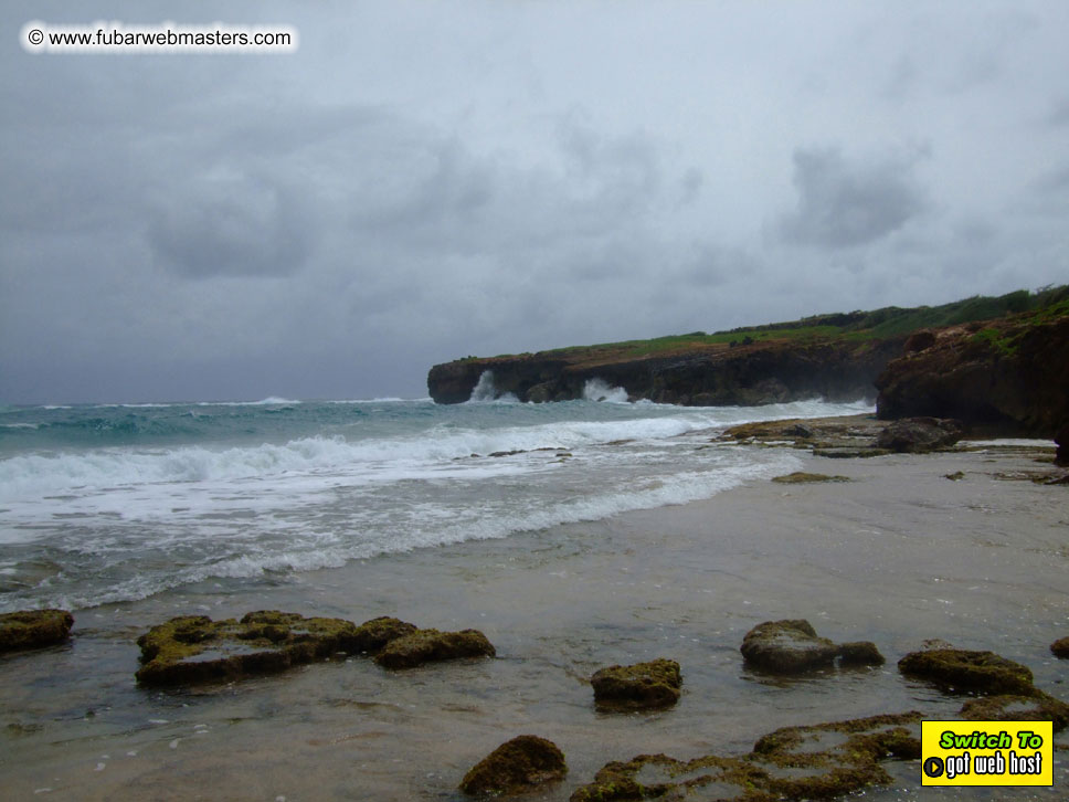 GoodGirl & Baddog's Hawaii Photos