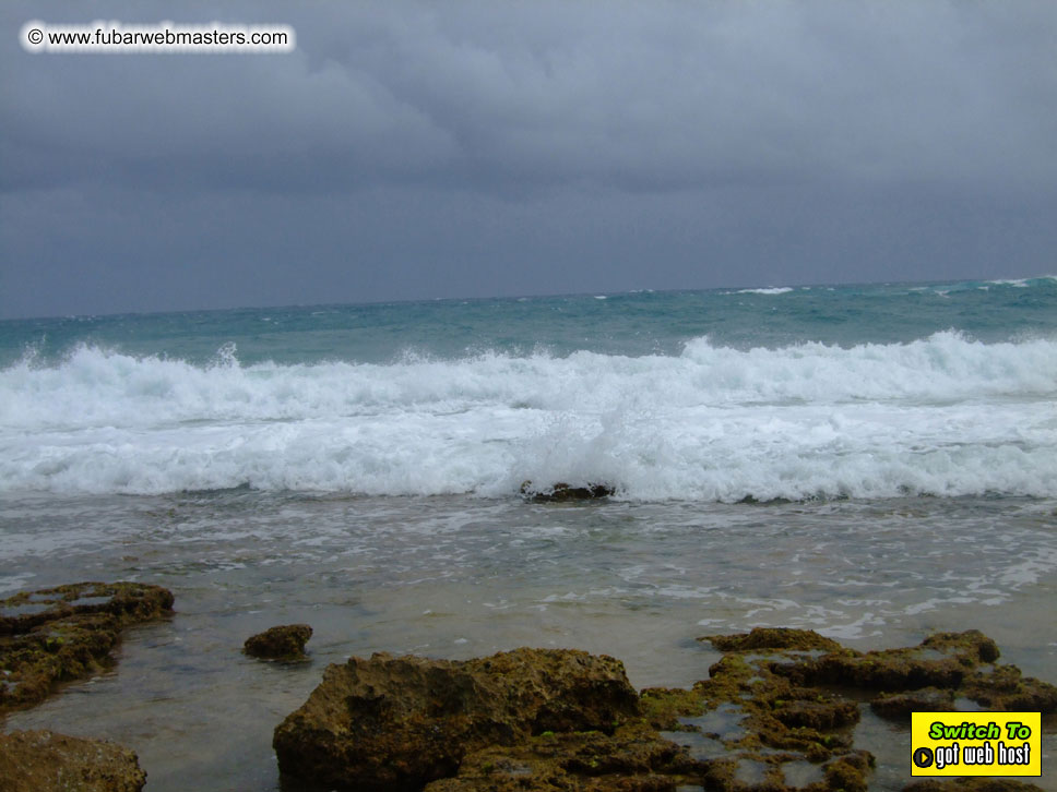 GoodGirl & Baddog's Hawaii Photos