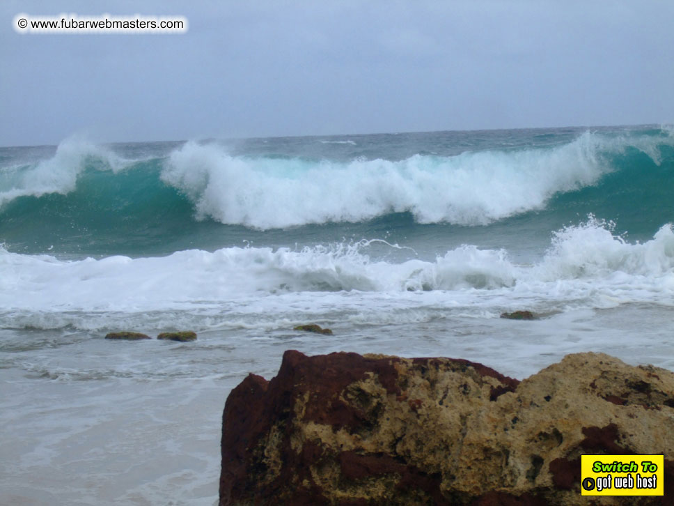 GoodGirl & Baddog's Hawaii Photos