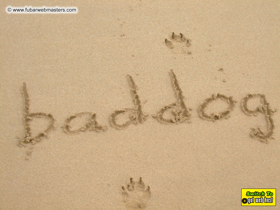 GoodGirl & Baddog's Hawaii Photos