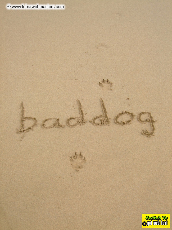 GoodGirl & Baddog's Hawaii Photos