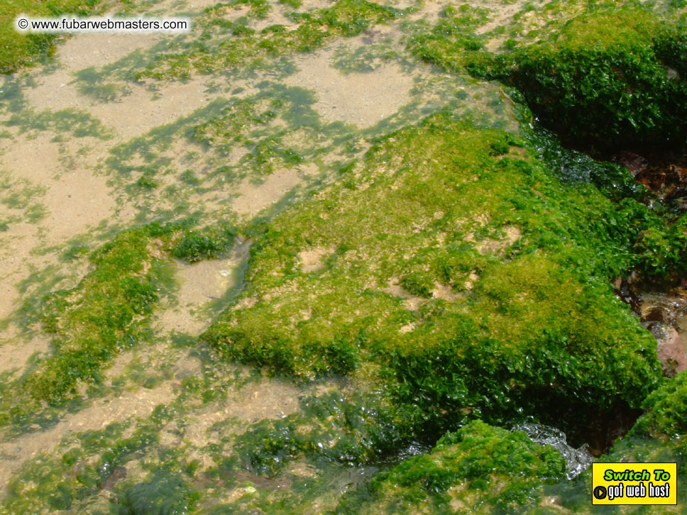 GoodGirl & Baddog's Hawaii Photos