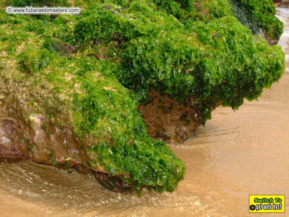 GoodGirl & Baddog's Hawaii Photos