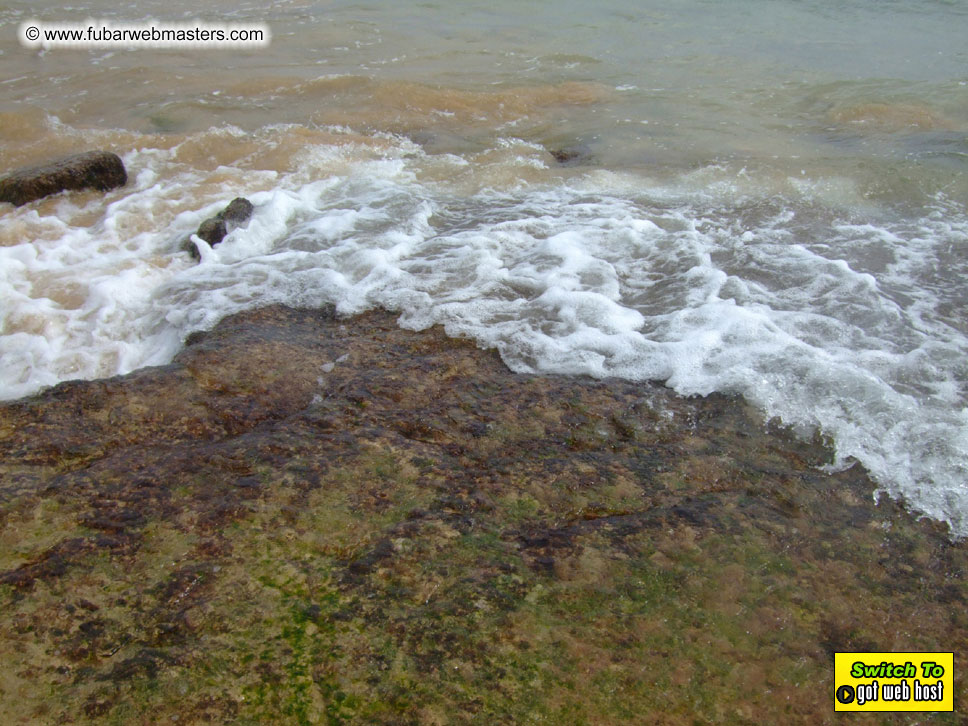 GoodGirl & Baddog's Hawaii Photos