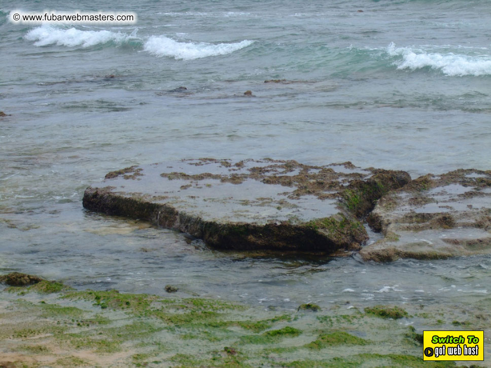 GoodGirl & Baddog's Hawaii Photos