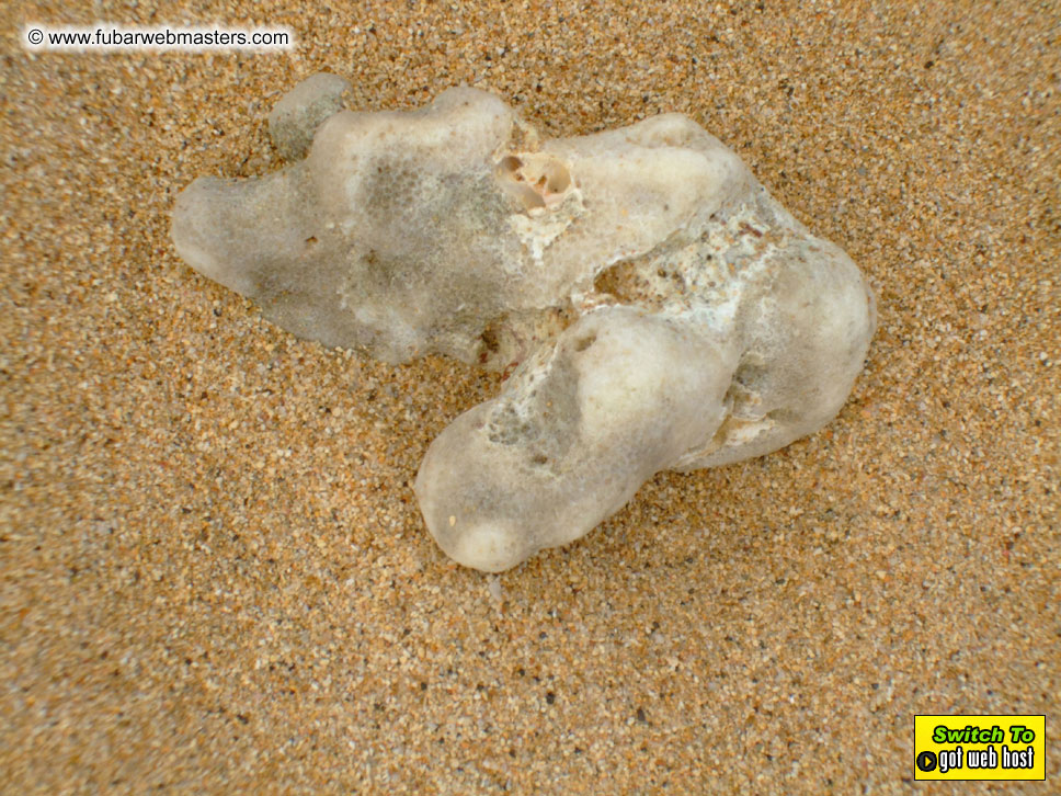 GoodGirl & Baddog's Hawaii Photos