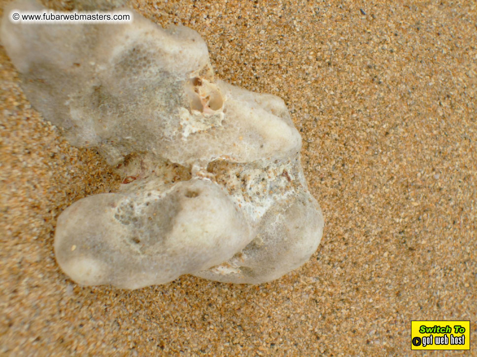 GoodGirl & Baddog's Hawaii Photos