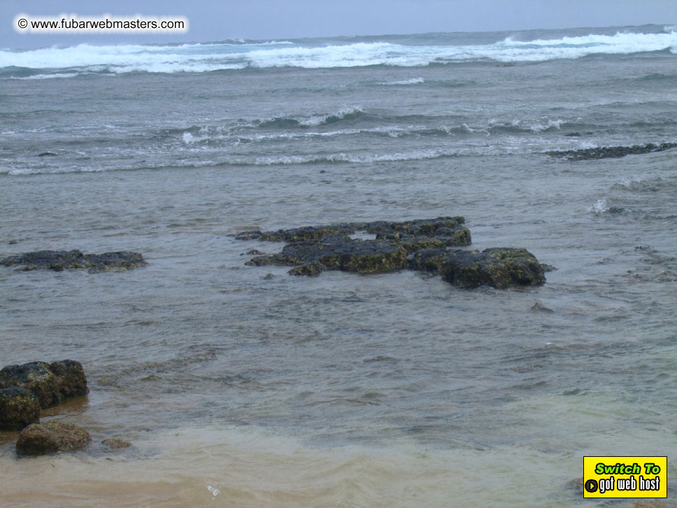 GoodGirl & Baddog's Hawaii Photos