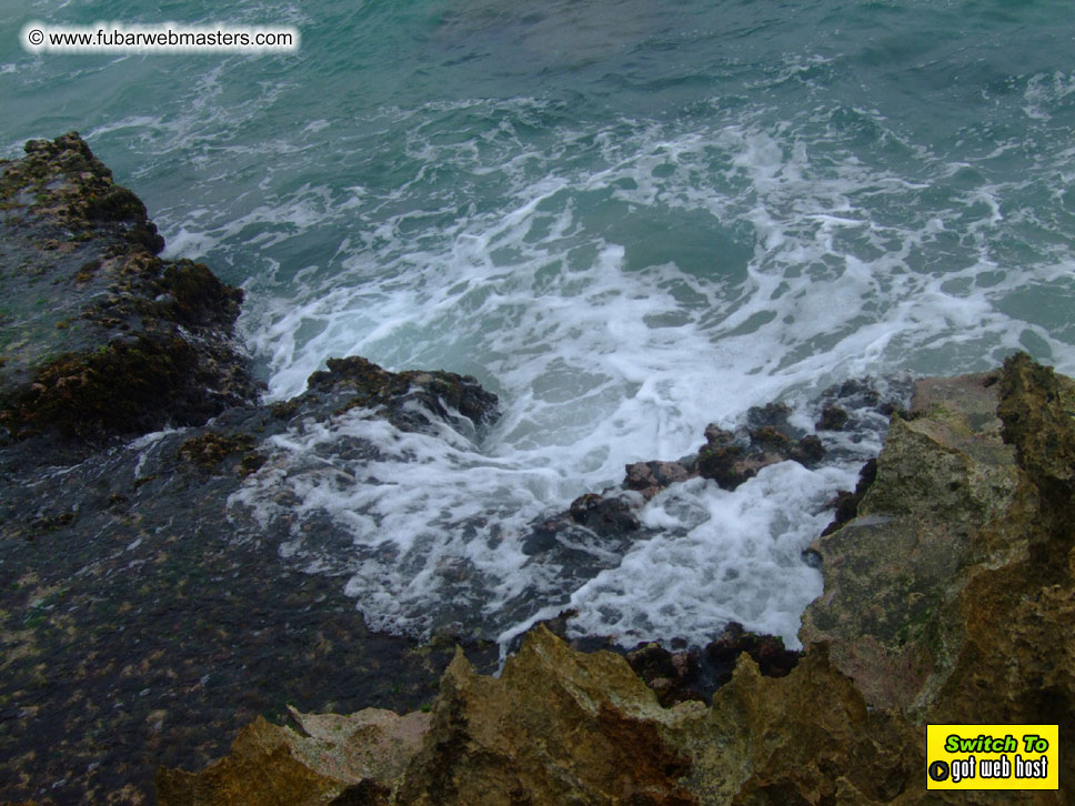 GoodGirl & Baddog's Hawaii Photos