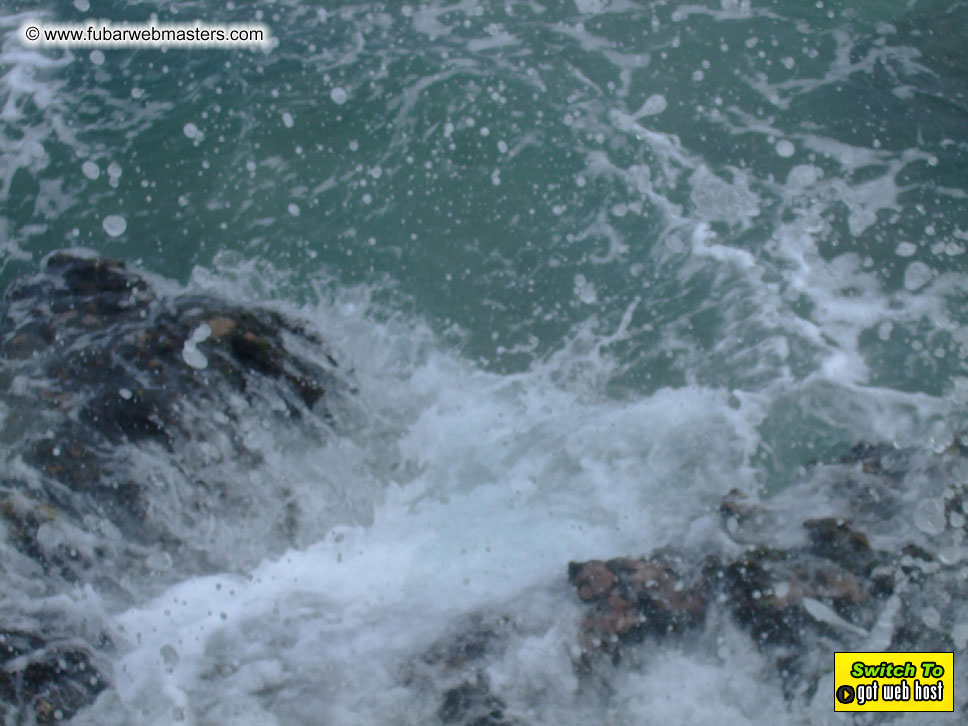 GoodGirl & Baddog's Hawaii Photos