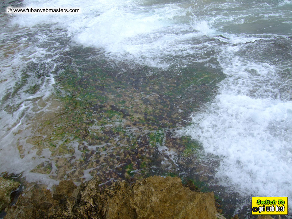 GoodGirl & Baddog's Hawaii Photos