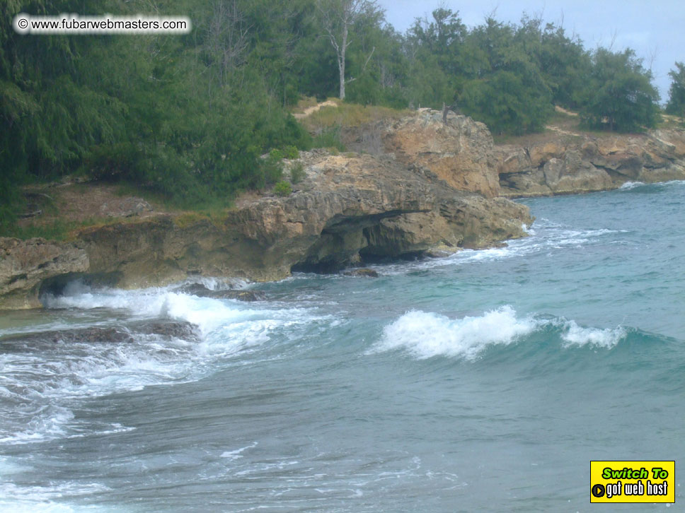 GoodGirl & Baddog's Hawaii Photos