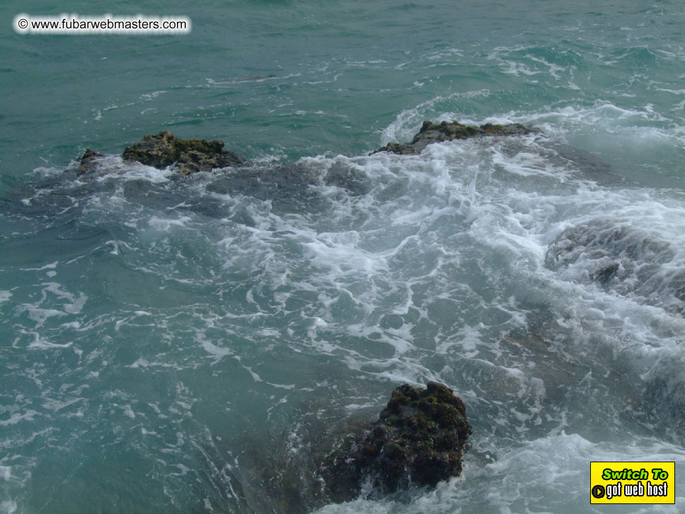 GoodGirl & Baddog's Hawaii Photos