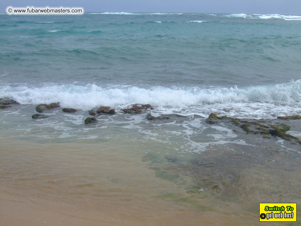 GoodGirl & Baddog's Hawaii Photos