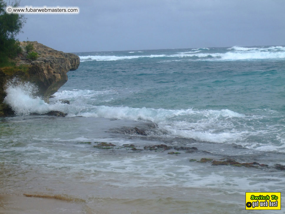 GoodGirl & Baddog's Hawaii Photos