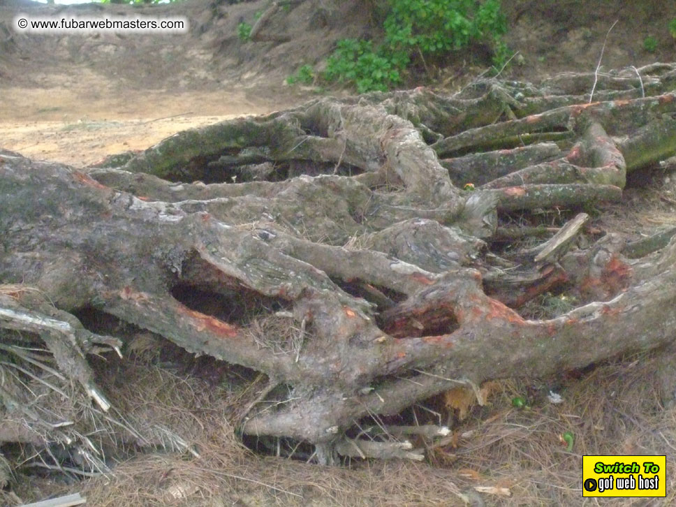 GoodGirl & Baddog's Hawaii Photos