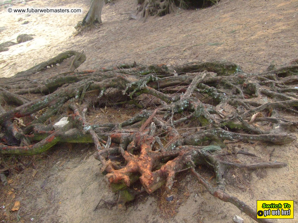 GoodGirl & Baddog's Hawaii Photos