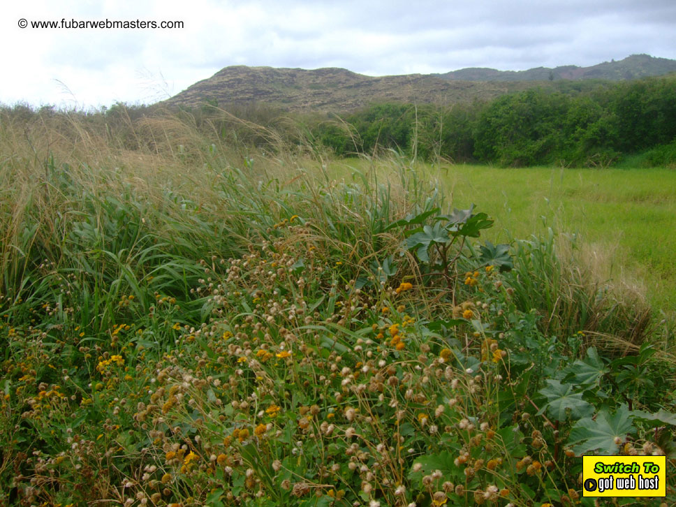 GoodGirl & Baddog's Hawaii Photos