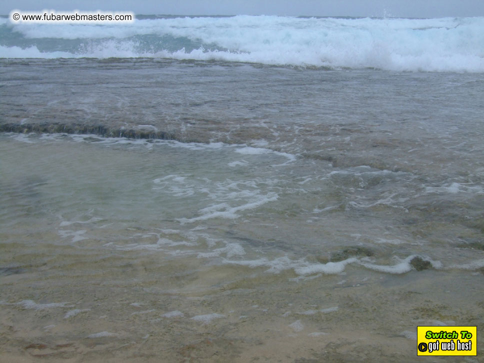 GoodGirl & Baddog's Hawaii Photos