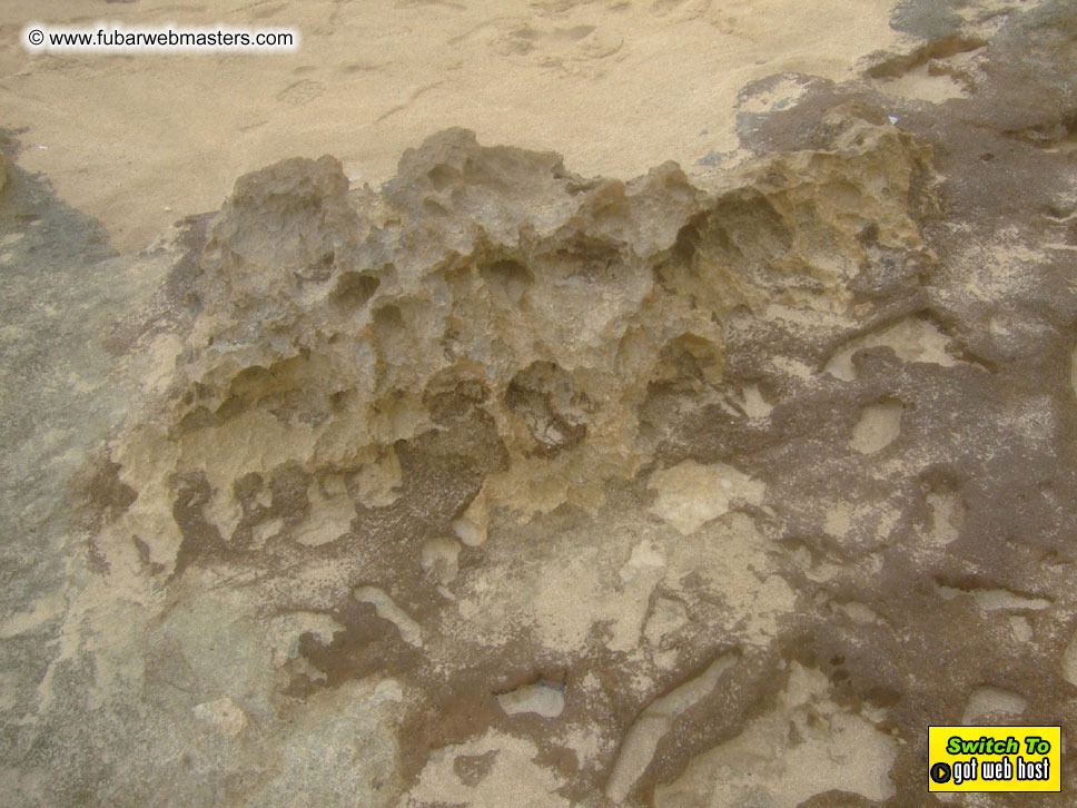 GoodGirl & Baddog's Hawaii Photos