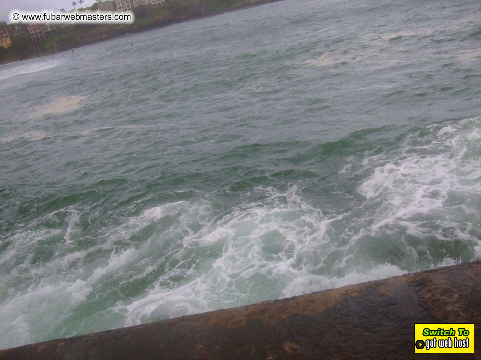 GoodGirl & Baddog's Hawaii Photos