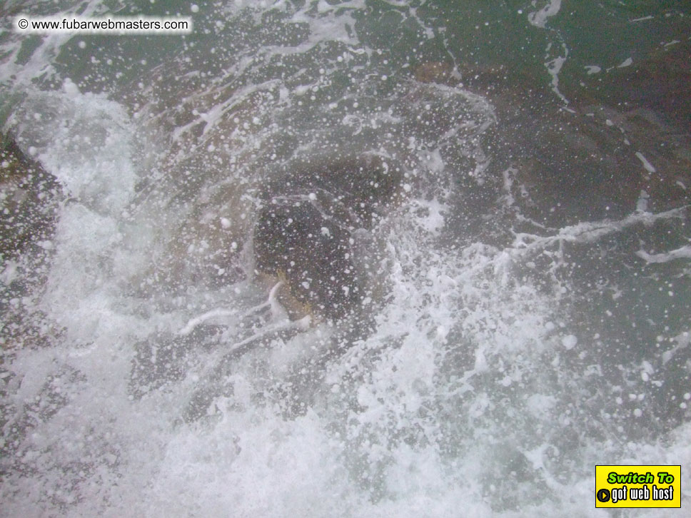 GoodGirl & Baddog's Hawaii Photos