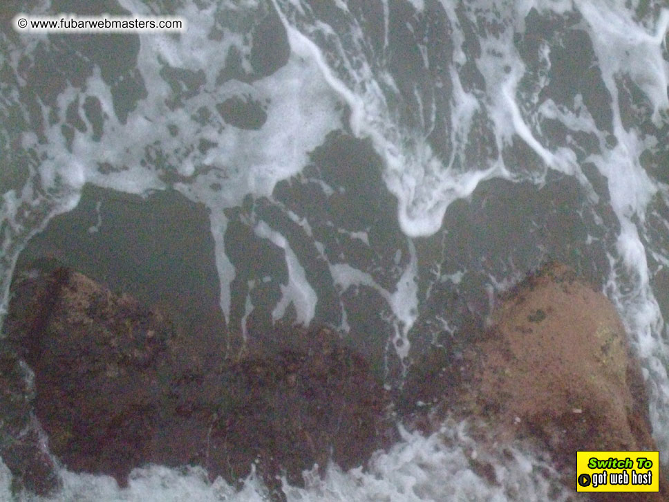 GoodGirl & Baddog's Hawaii Photos