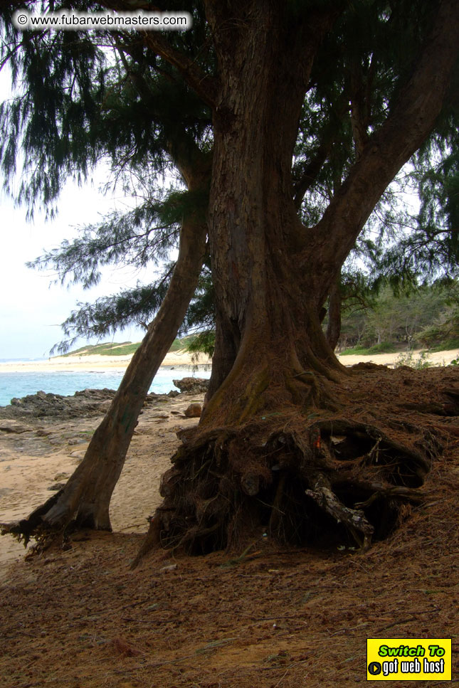 GoodGirl & Baddog's Hawaii Photos