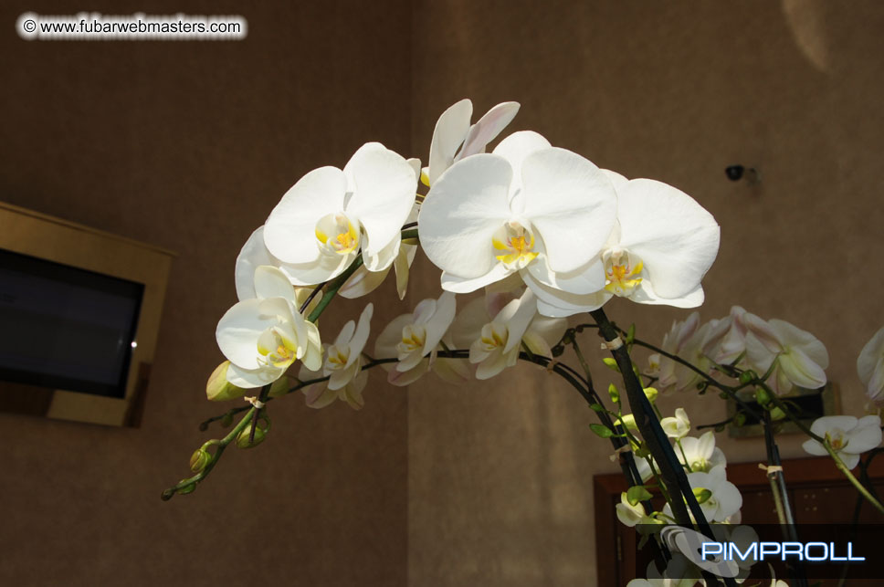 Hotel, Registration and Seminars