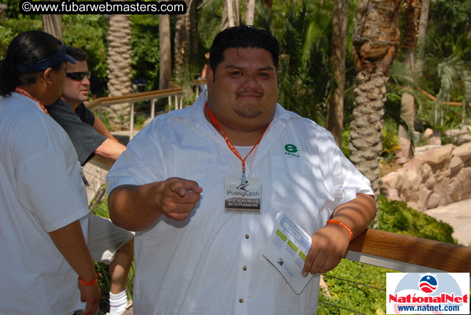 The Hard Rock Pool and Cabanas