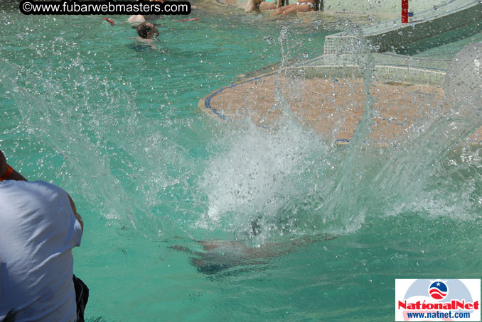 The Hard Rock Pool and Cabanas