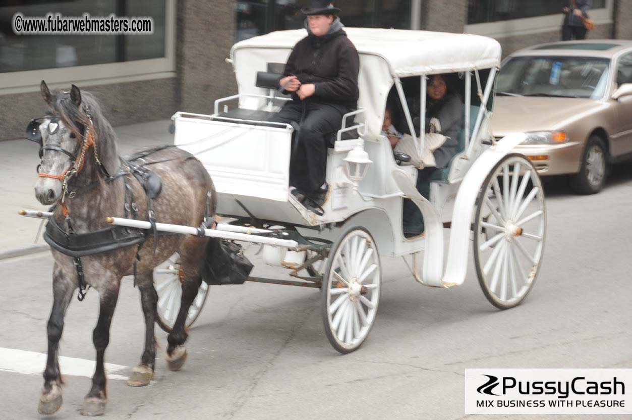 Chicago Double Decker Bus Tour