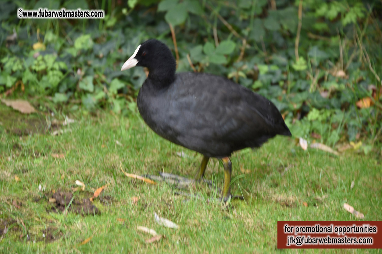 Visit to Buckingham Palace