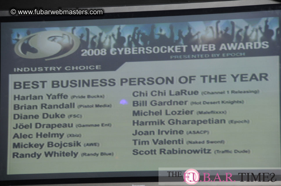 the 8th Annual Cybersocket Web Awards